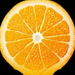Juicerz
